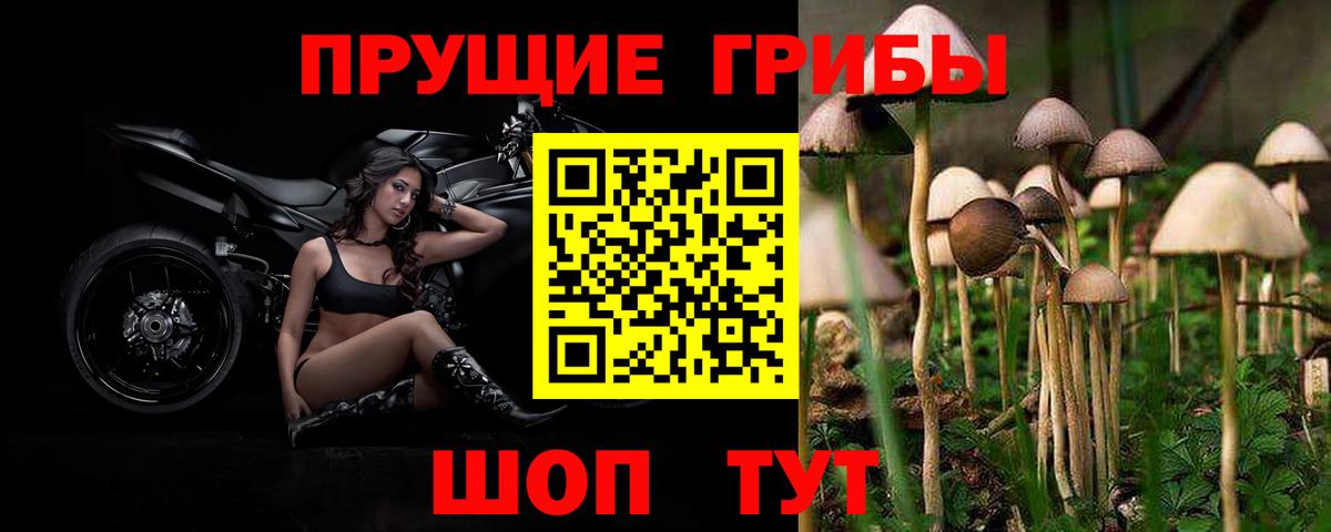Псилоцибиновые грибы Magic Shrooms Губкин